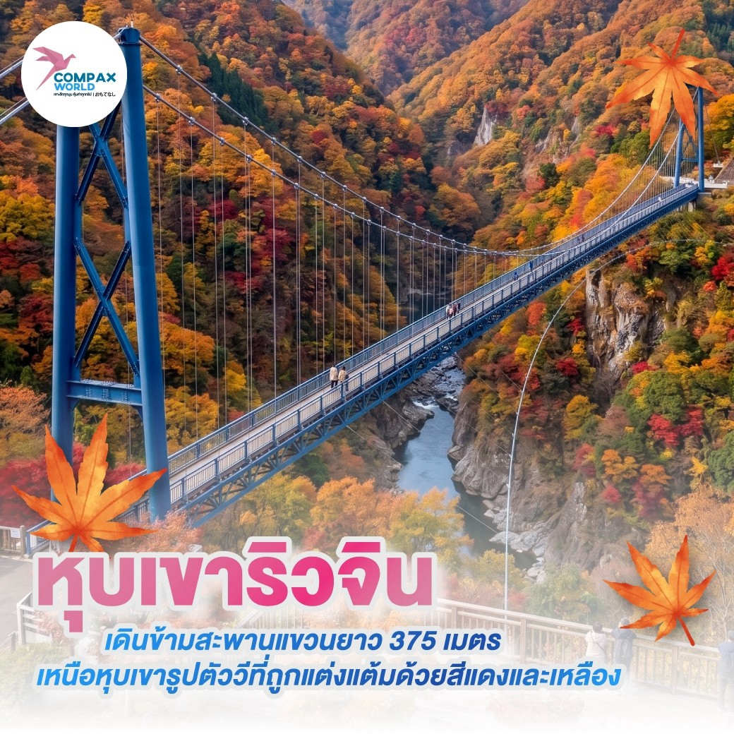 เที่ยวญี่ปุ่น ทัวร์ญี่ปุ่น ทัวร์ญี่ปุ่นพรีเมี่ยม โปรแกรมทัวร์ญี่ปุ่น